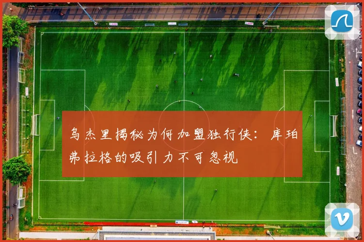 乌杰里揭秘为何加盟独行侠：库珀弗拉格的吸引力不可忽视